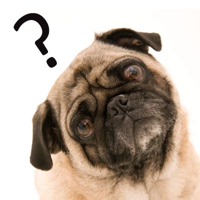 10 Questions We Dare HSUS to Answer - HumaneWatch
