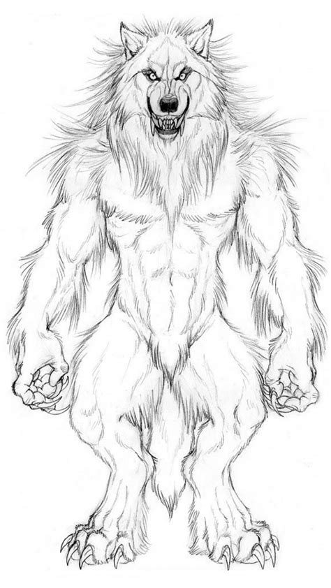Werewolf Werewolf Tattoo Werewolf Art Werewolf Drawings Furry Wolf