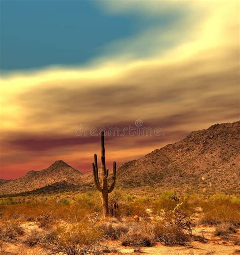 Sonora Desert Sunset Stock Image Image Of Cholla Desert 63322917