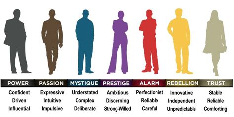 Characteristic Different Types Personality Anr Miami