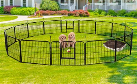 The Best Portable Dog Fence To Buy In December 2023