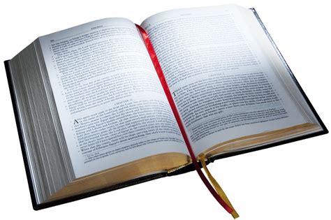 Open Holy Bible PNG Photos PNG Mart