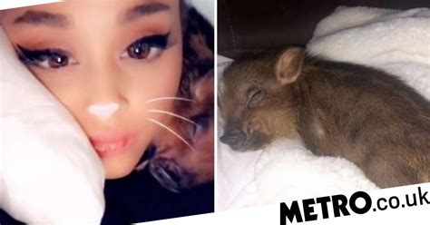 Ariana Grande Cosies Up To Adorable Pet Pig As Fans Rejoice She Looks
