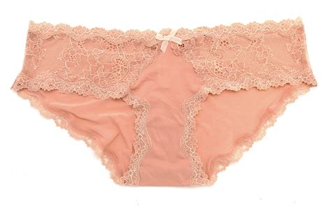 Victorias Secret Dream Angels Lace Trim Hipkini Panty Panties Ebay