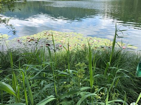 Kulturelle sehenswürdigkeiten in tirols historischen städten. Hechtsee (Kufstein) - Aktuelle 2020 - Lohnt es sich? (Mit ...