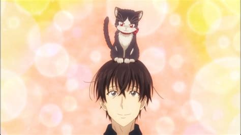 7 Rekomendasi Anime Buat Kamu Yang Suka Dengan Kucing
