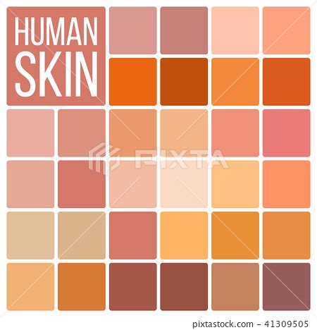 Human Skin Vector Various Body Tones Chart Stock Illustration