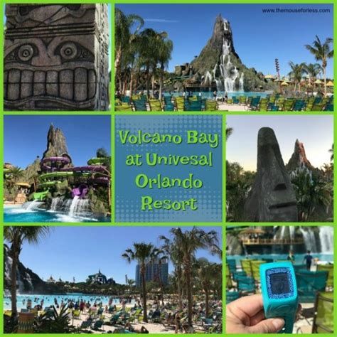 As part of our industry approved covid safe plan it is a mandatory requirement that guests download the village roadshow theme parks app and load their entry tickets. Volcano Bay Water Theme Park at Universal Orlando Resort