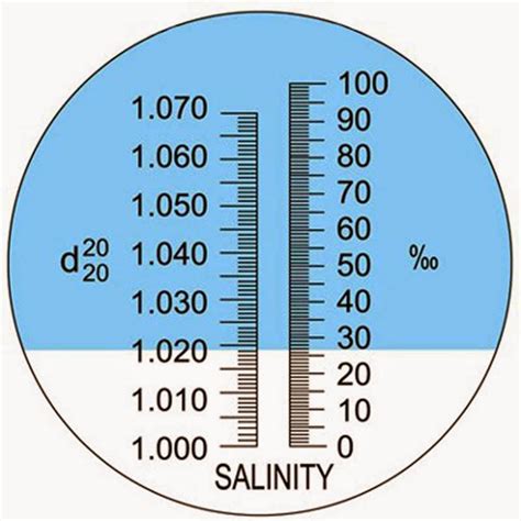 How To Measure Salinity In A Saltwater Aquarium Bulk Reef Supply