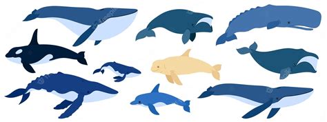 Premium Vector Cartoon Set Of Whales Underwater World Marine Life