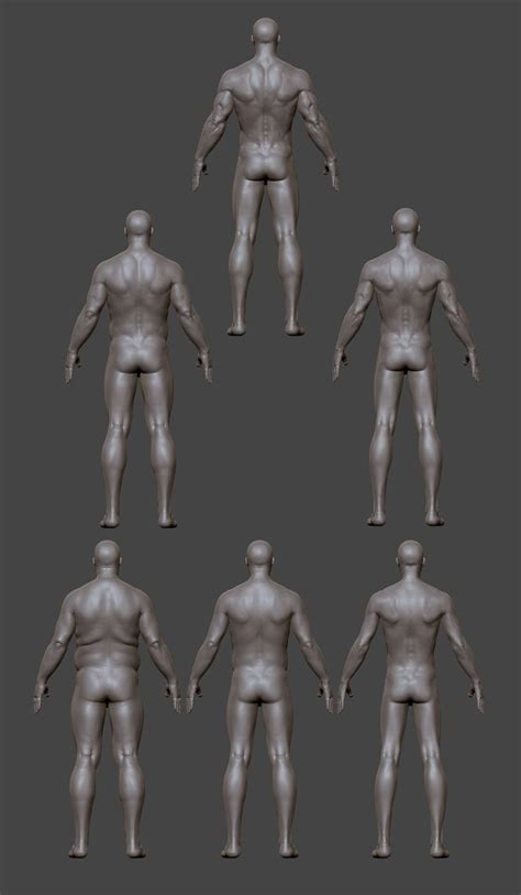 Without an understanding of anatomy, your drawings will always feel like there's something wrong. Male body types | Anatomy for artists, Man anatomy, Male body