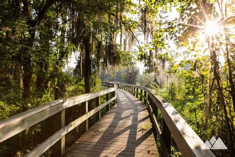 Phinizy Swamp Nature Park Boardwalk Trails