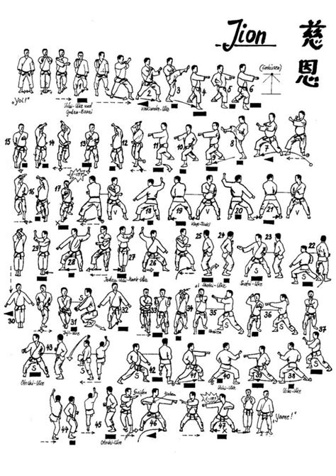 Les Kata Supérieurs Ippon Shotokan Karaté Do