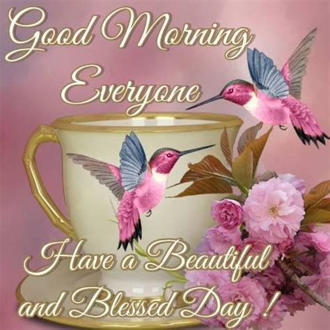 Good Morning Everyone Have A Beautiful And Blessed Day Pictures