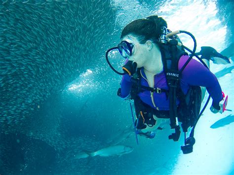 Scuba Diving Holidays For Beginners Top 12 Places