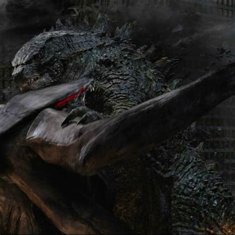 Goji Battling The Female Muto Godzilla Know Your Meme