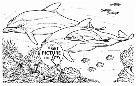 Cute cartoon printables coloring sheets. Coloring Pages For Adults Dolphins - Coloring Home