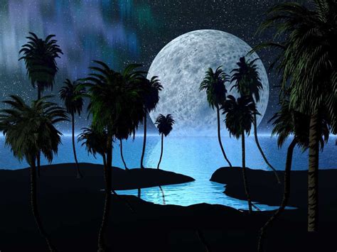 1er étage imm n°7 groupe b, attaaoun, hay hassani(prés de la poste) casablanca. cool wallpapers: Full moon night