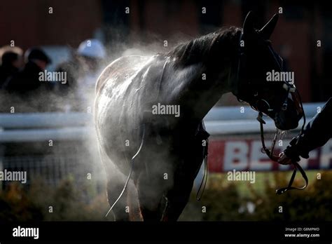 Betfred Classic Chase Day Warwick Racecourse Steam Rises From A