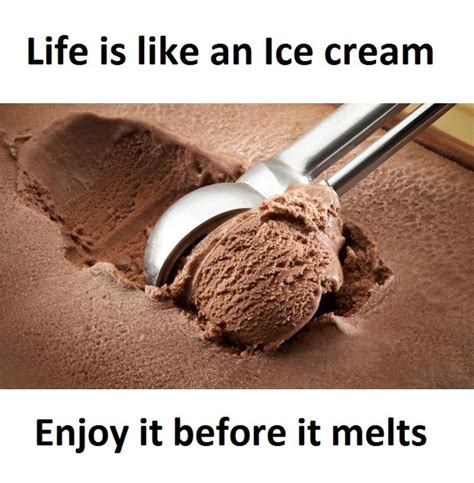 Funny Chocolate Ice Cream Quotes ShortQuotes Cc