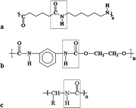 Amide Bonds A Nylon B Polyurethane And C Polypeptide