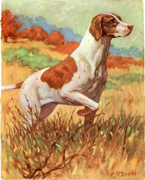 Pointer Dog Illustration A O Scott 1930s Vintage Original Etsy Dog