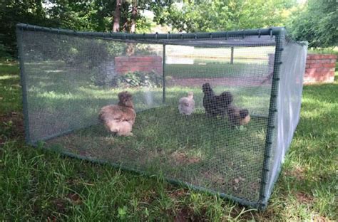 18 Awesome Diy Rabbit Playpens To Make For Your Bunnies