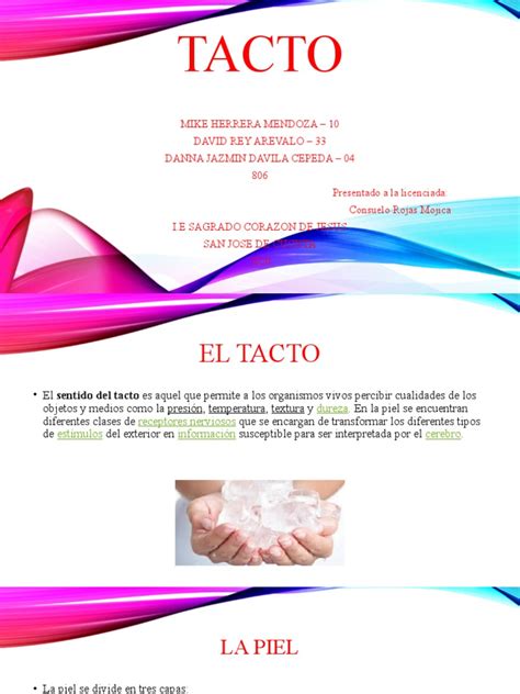 Diapositivas Sobre La Exposicion Del Tacto Pdf Piel Anatomia Animal