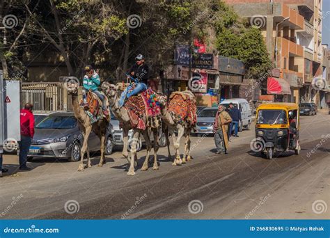Cairo Egypt January 31 2019 Camel Handlers In Giza Neighborhood Of