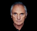 Terence Stamp Biography - Facts, Childhood, Family Life & Achievements