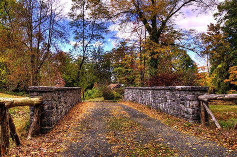 7 Best Spots For Fall Foliage In Nyc