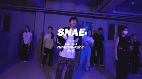 Ikon Tantaraㅣ Choreography Snae ㅣ Choreo Class 대구댄스학원 Youtube