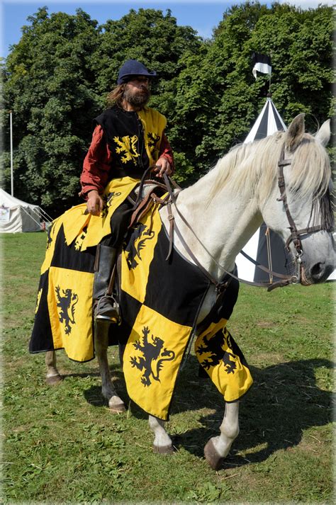 Knight Show Set 207 Free Stock Photo Public Domain Pictures