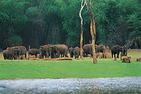 A Guide To Periyar Wildlife Sanctuary Thekkady Updated 2023 Trip101