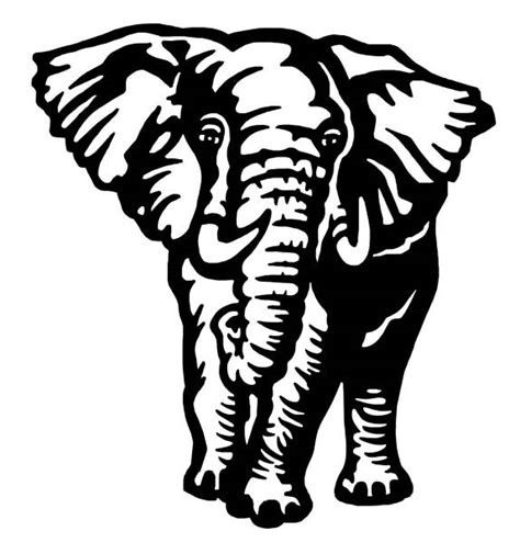 Black And White Elephant Illustrations Royalty Free Vector Graphics