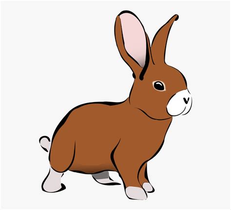 Rabbit Clipart Pictures On Cliparts Pub 2020 🔝