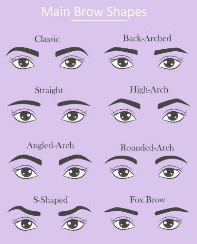 Different Eyebrow Shapes