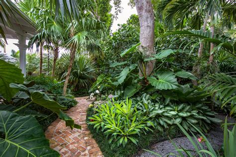 Welcome To The Jungle In This Florida Keys Tropical Garden Jardin