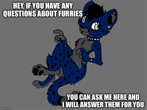 ask me any question about furries imgflip
