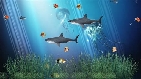 Download Coral Reef Aquarium Animated Wallpaper By Isabellag14