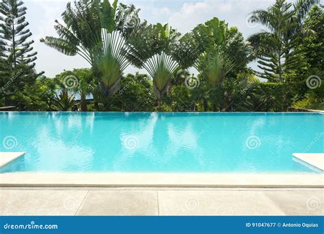 Tropical Swimming Pool Stock Image Image Of Relax Exterior 91047677