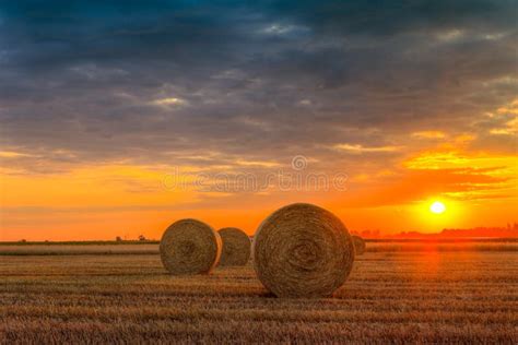 Sunset Over Farm Field With Hay Bales Stock Photo Image Of Harvest