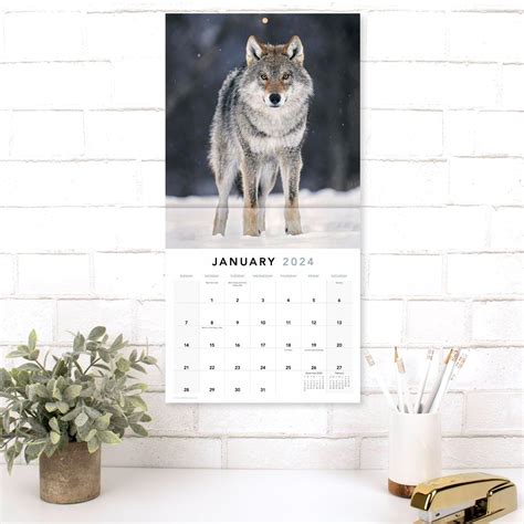 2024 Wolves Monthly Wall Calendar 12″ X 12″ Lme1681024 Yaxa Colombia