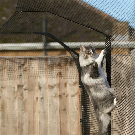 Do Cat Fencing Systems Really Work Protectapet Outdoor Cat Cage