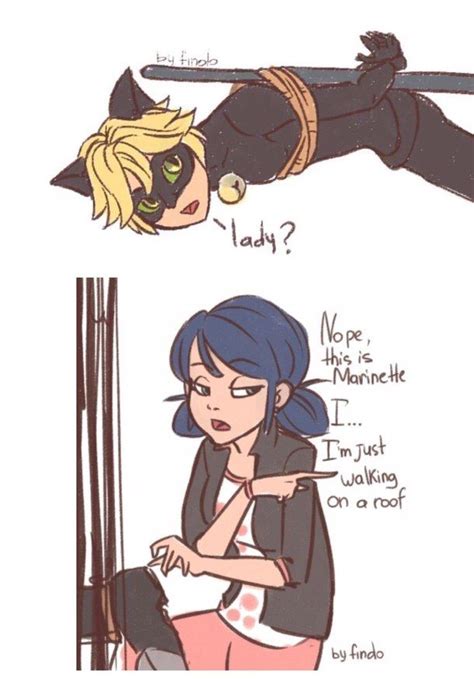 1970 Best Miraculous Ladybug And Chat Noir Images On Pinterest