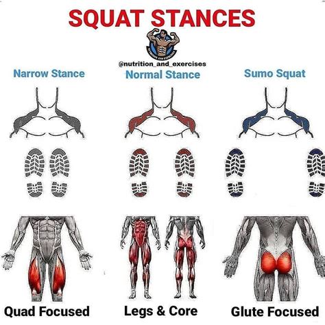 Squat Stance Full Body Workout Plan Back Workout Men Workout Chart