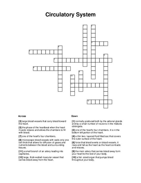 Print Crossword Puzzle Sistema Circulatorio Aparato Circulatorio The