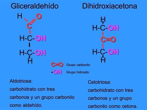 Carbohidratos Qué Son Estructura Y Tipos Toda Materia