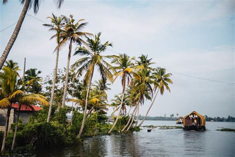 5 Epic Things To Do In Kerala Mondomulia