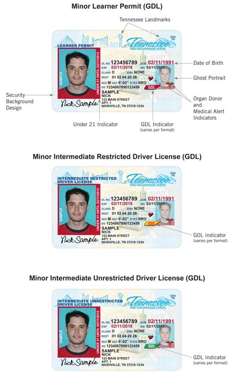 Tennessee Drivers License Template Williamson